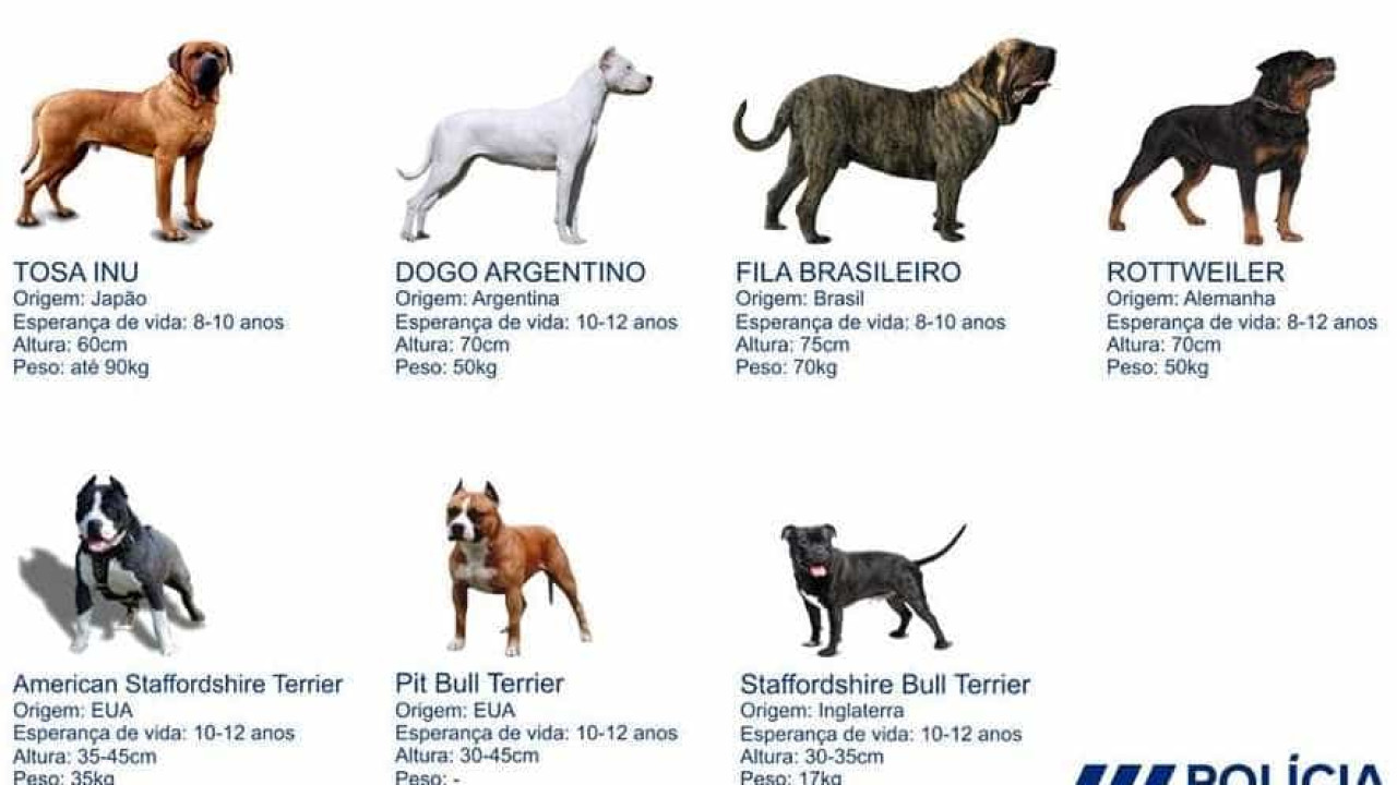PSP alerta para cães de raça perigosa