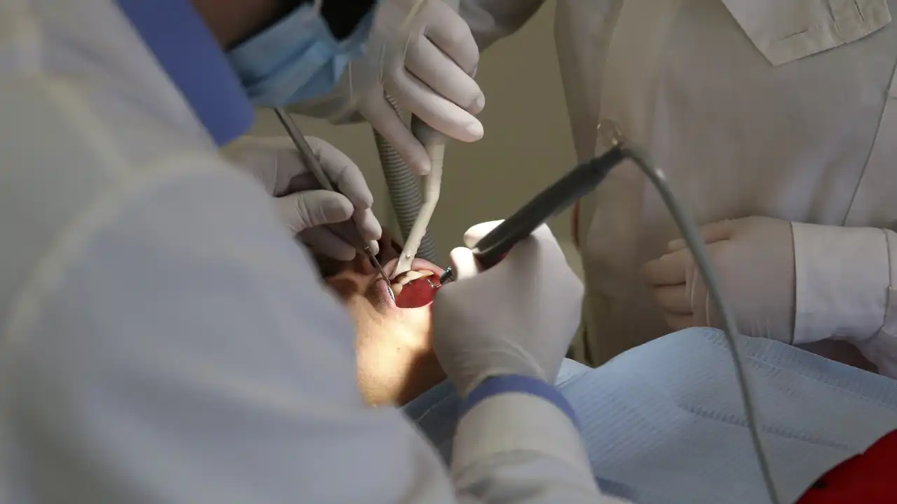 Estudo revela que Portugal perdeu número recorde de médicos dentistas