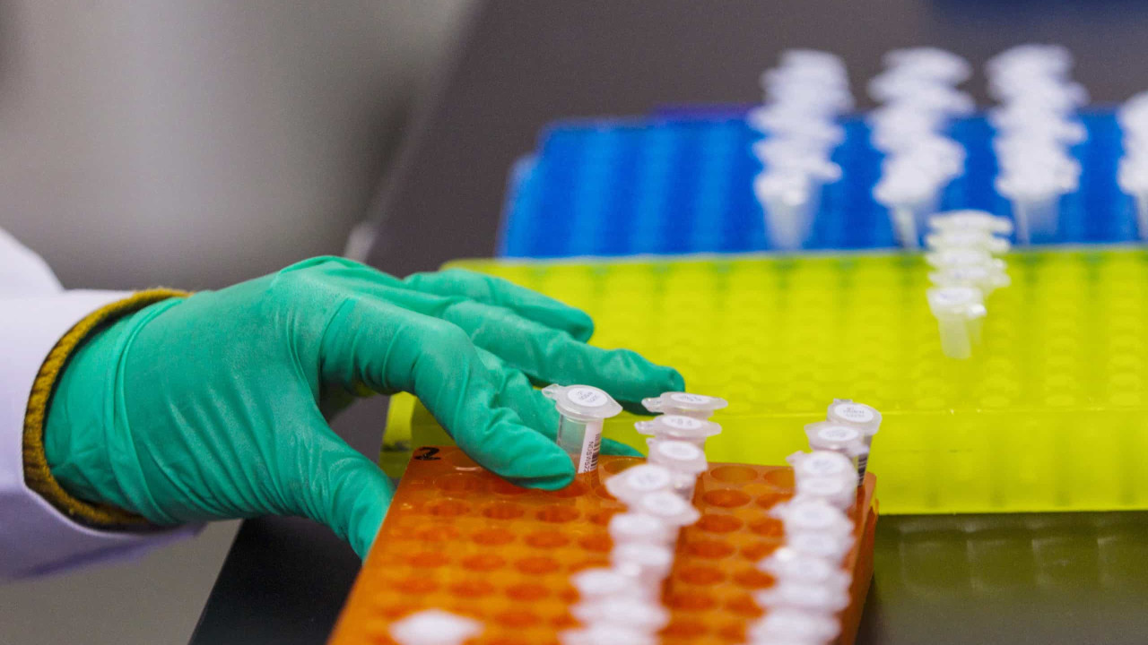 Um cientista cabo-verdiano descobre a chave da vida que há anos se busca Um cientista cabo-verdiano descobre a chave da vida que há anos se busca