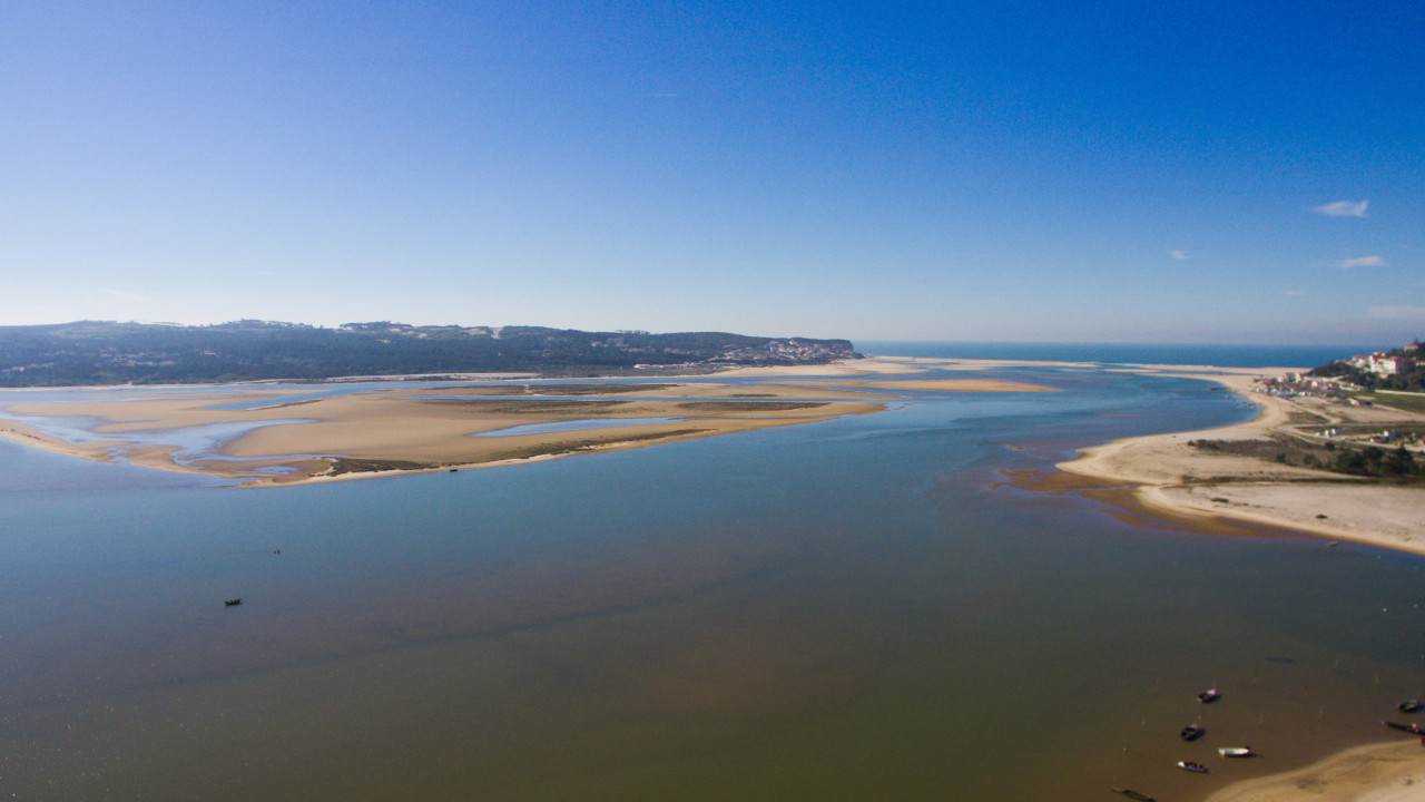 IPMA estuda crescimento excessivo de algas na Lagoa de Óbidos