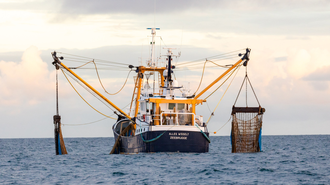 Ministros das Pescas da UE procuram hoje acordo sobre quotas para 2024