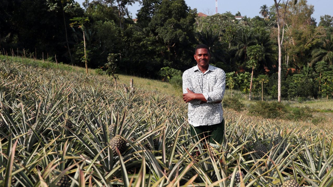 Governo são-tomense vai iniciar recenseamento agrícola