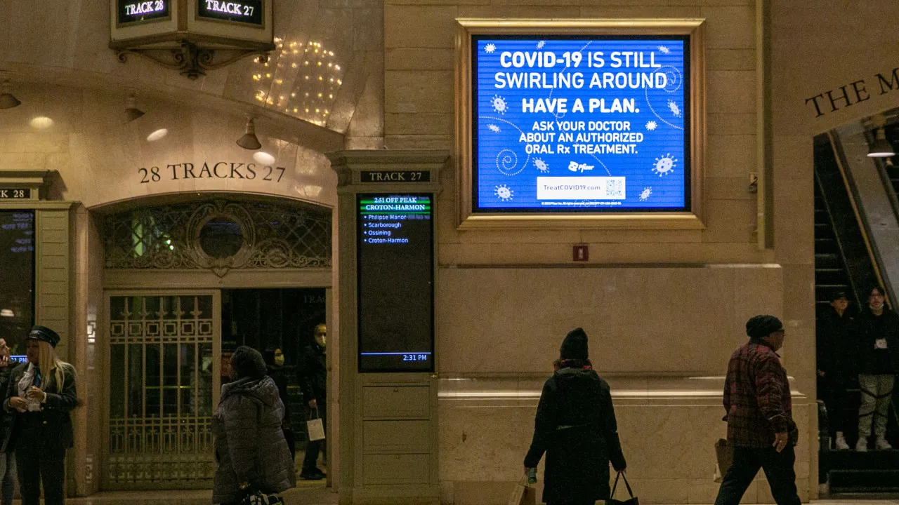 Covid longa custa às economias da OCDE até 115.000 milhões anuais