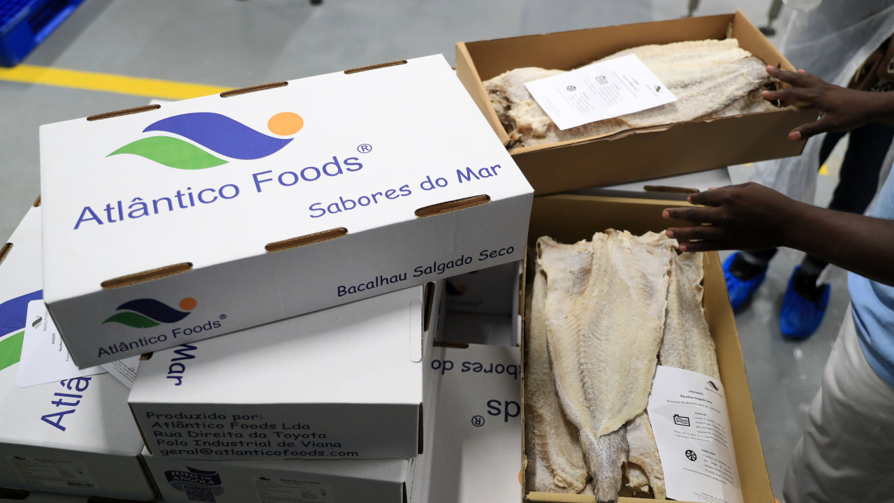 'Bacalhau made in Angola' quer estimular consumo e poupar angolanos