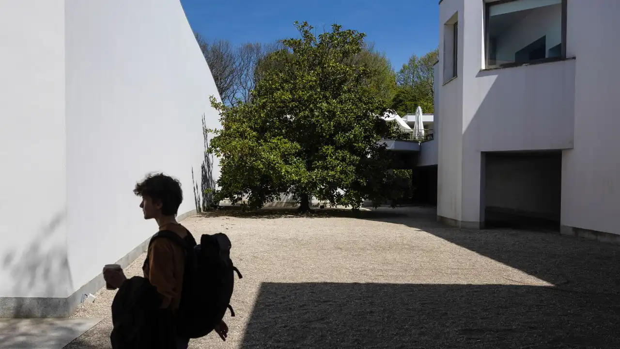 BE quer ouvir Serralves sobre alegadas restrições durante acesso gratuito