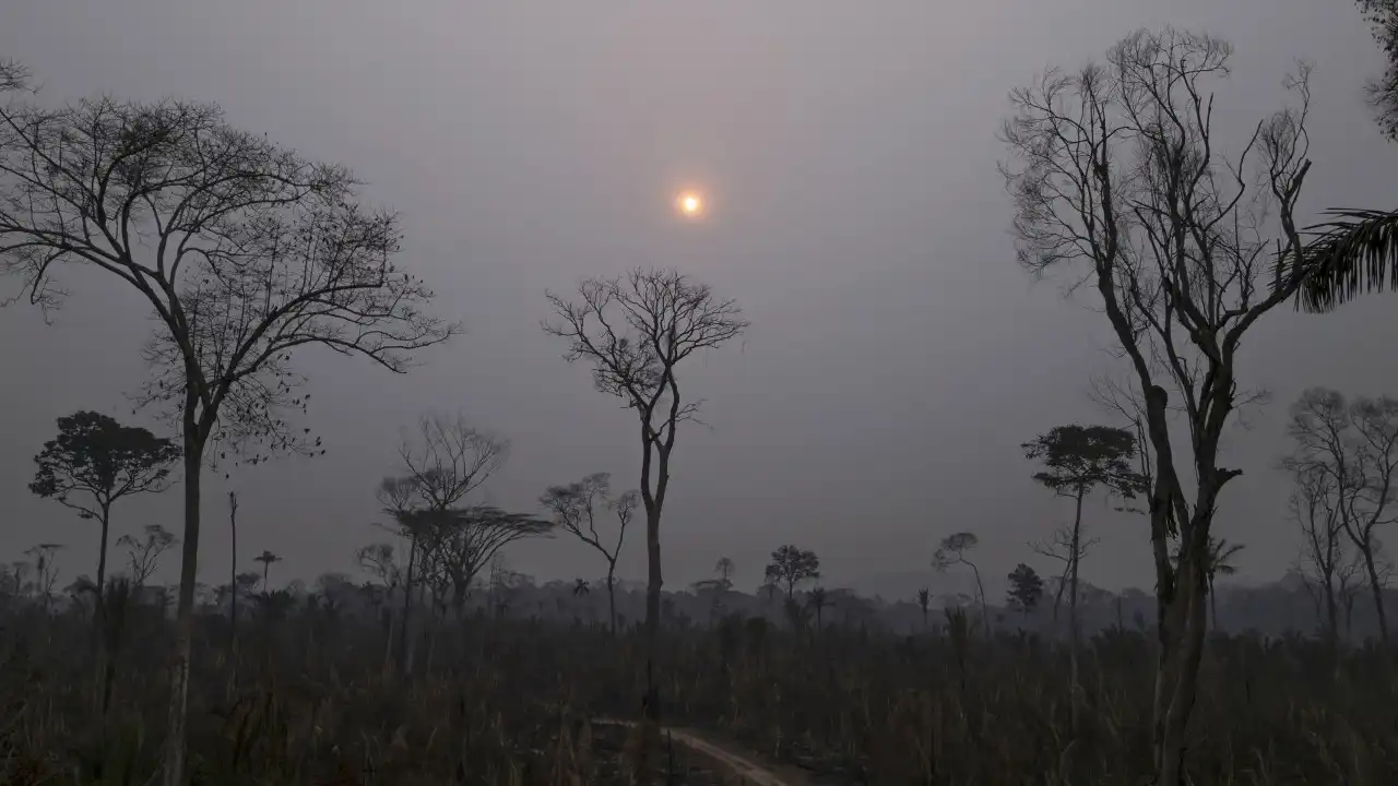 Brasil regista mais focos de incêndio que em todo ano de 2023