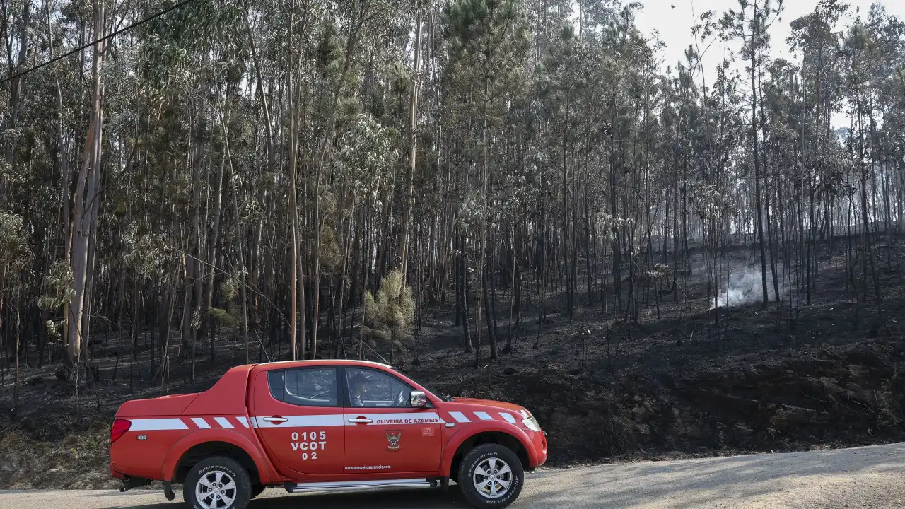 Mais de 124 mil hectares arderam em Portugal continental desde domingo