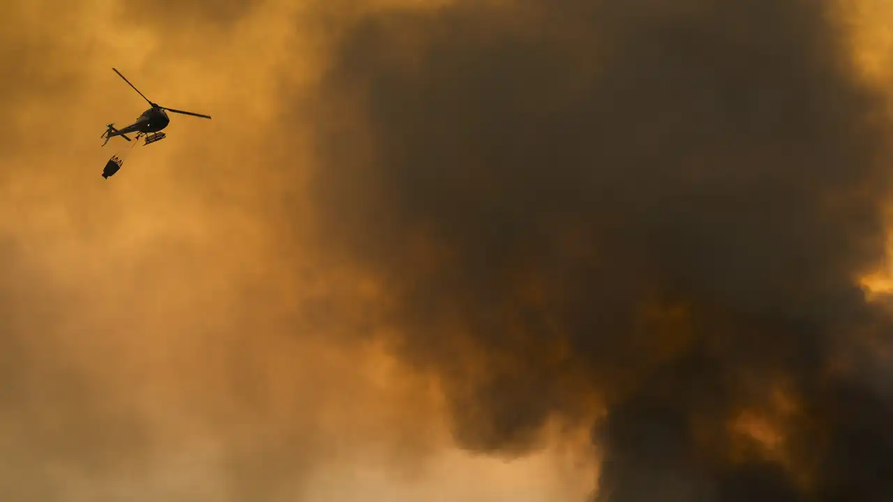 PCP responsabiliza PS, PSD e CDS pelos incêndios. "Lágrimas de crocodilo"