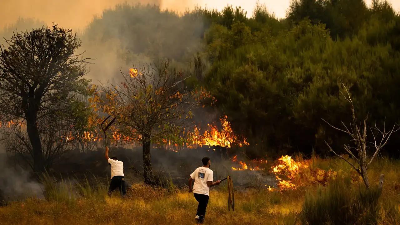 Número de emergência 112 recebeu 9 mil chamadas nos 5 dias de fogos