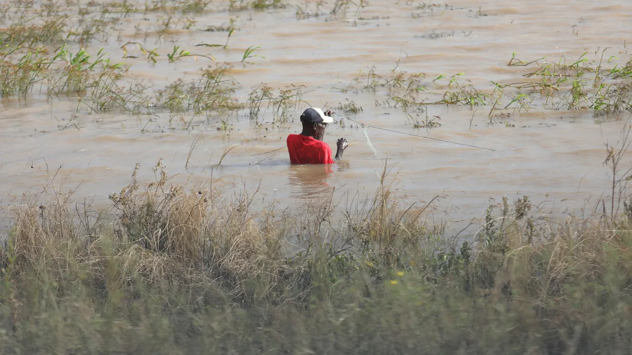 Desalojados das cheias em Moçambique pedem terrenos para recomeçar vida