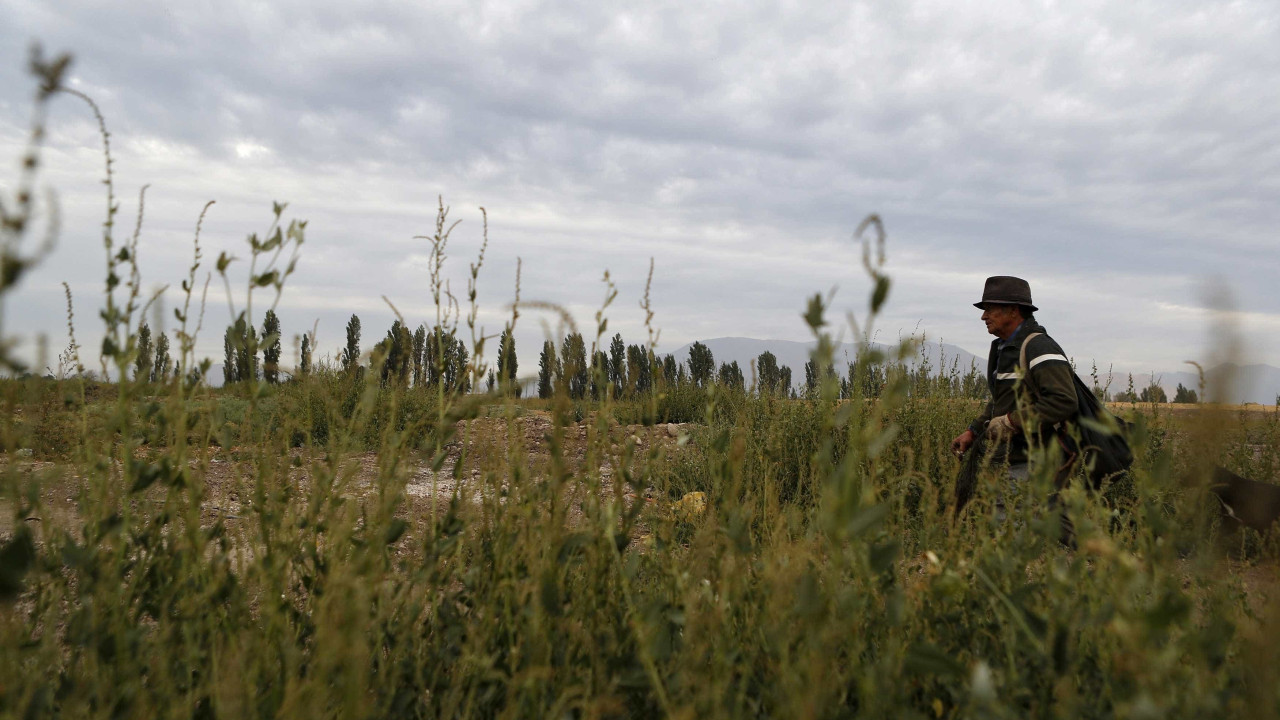 COP28? Mais do que compromissos o importante são as medidas, diz Quercus