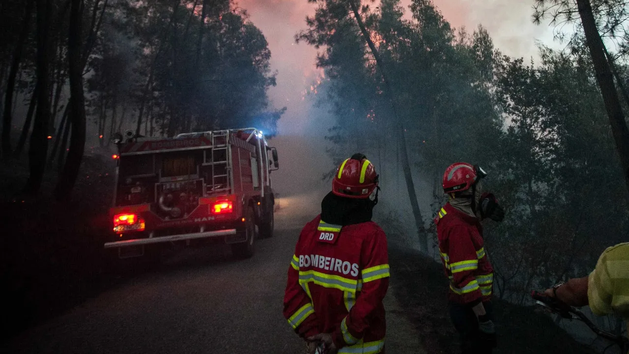 Moradores acusam Proteção Civil de falhar em incêndio no Douro