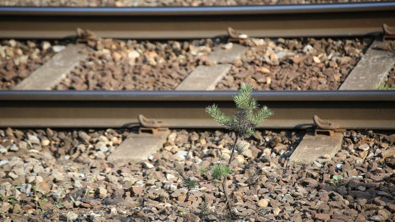 Acidente ferroviário corta circulação entre Vilar Formoso e Guarda