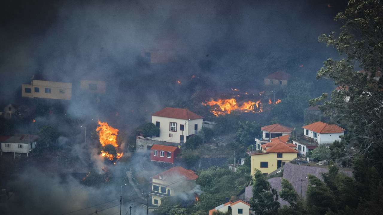 Madeira. CDS espera que audição do Governo esclareça "tempo das decisões"