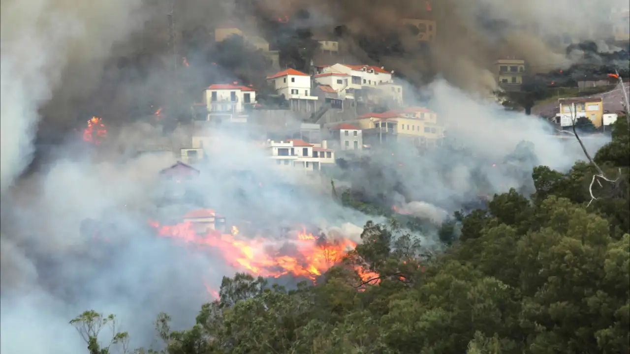 Fogo rural na Madeira circunscrito e com "fraca intensidade"