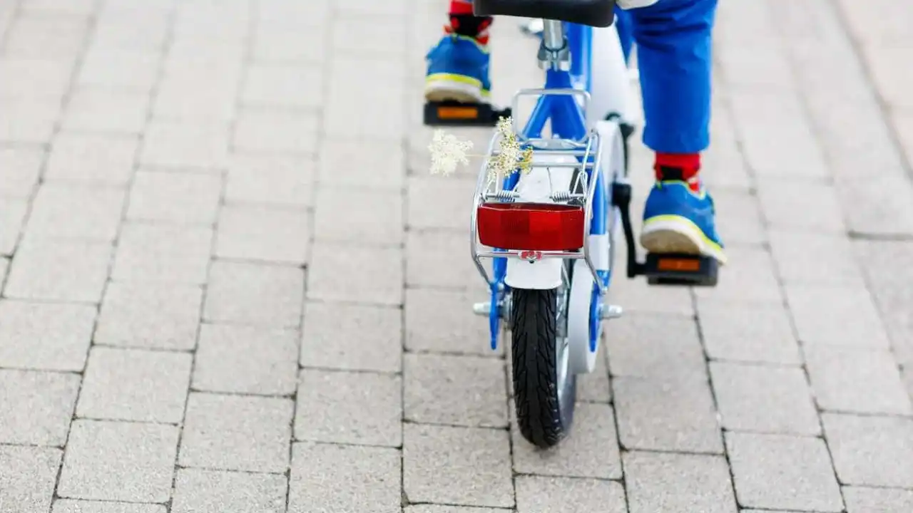 Manifestação de crianças em bicicleta percorre Porto no domingo