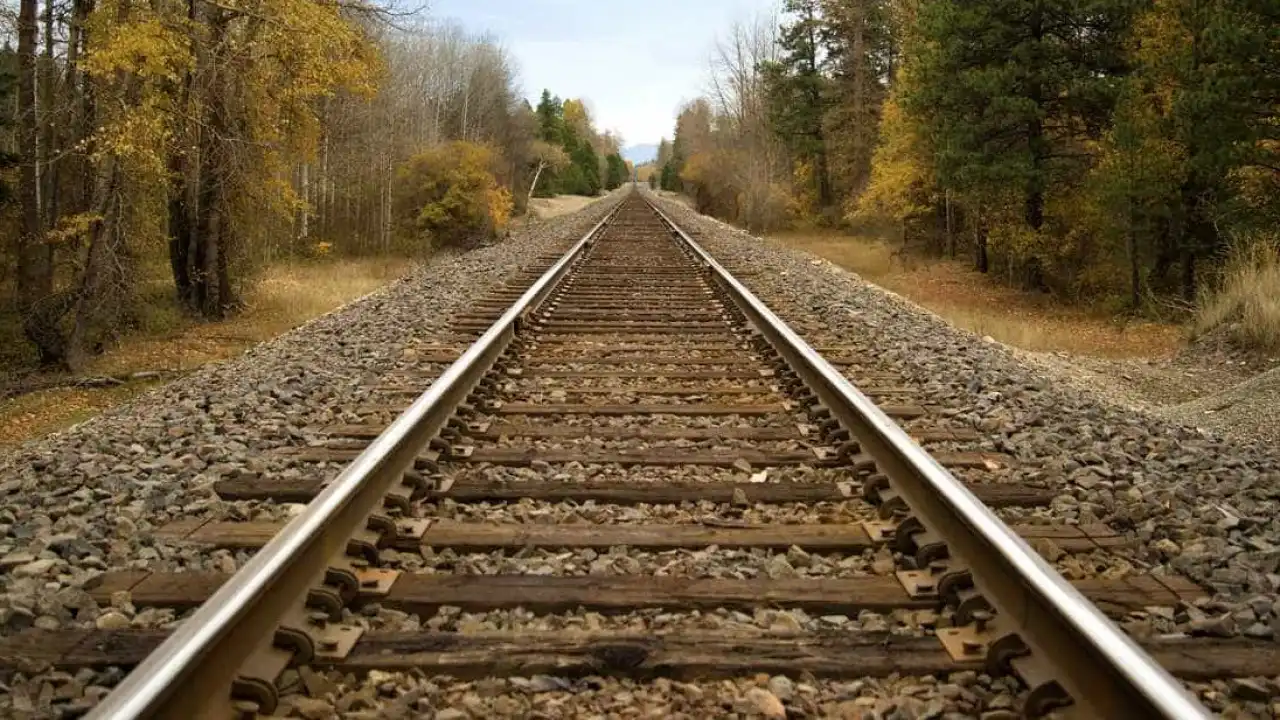 Terceira travessia do Tejo rodoferroviária? Autarca do Seixal diz que sim