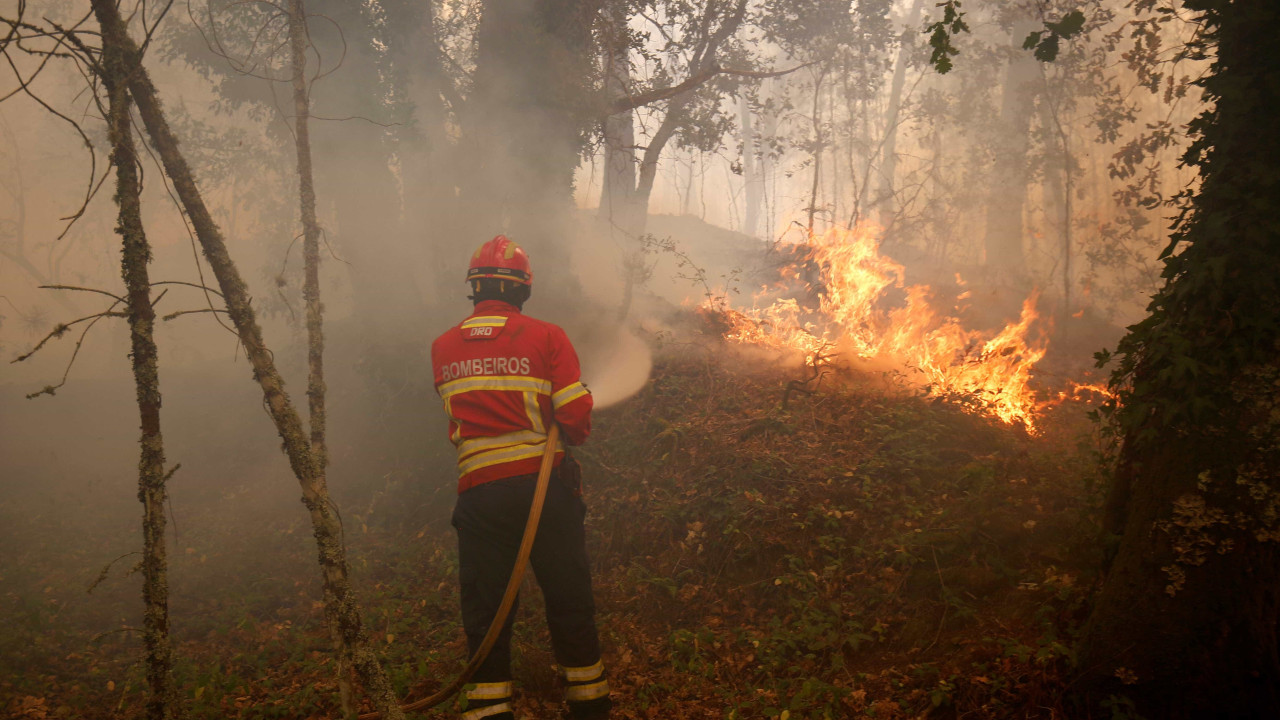 Três incêndios em Leiria e Batalha mobilizam mais de 300 operacionais