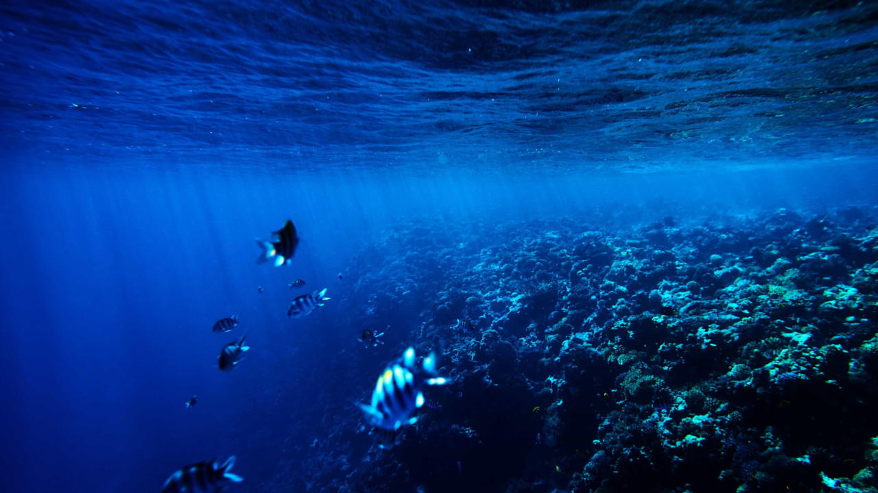 Oceanos? Portugal, Angola e Moçambique vão receber verbas da UE