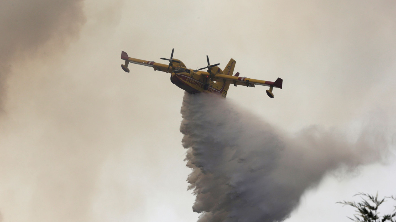 Tempo quente coloca mais de 40 concelhos em perigo máximo de incêndio