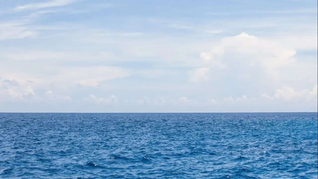 Projeto 'Mulheres do Mar' junta centenas de cuidadoras dos oceanos