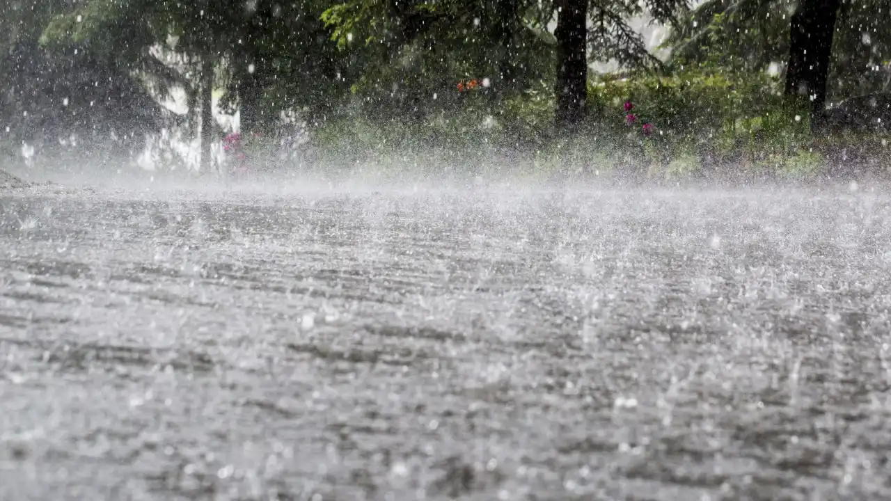 Adeus, verão! Outono chega este fim de semana e traz chuva em todo o país