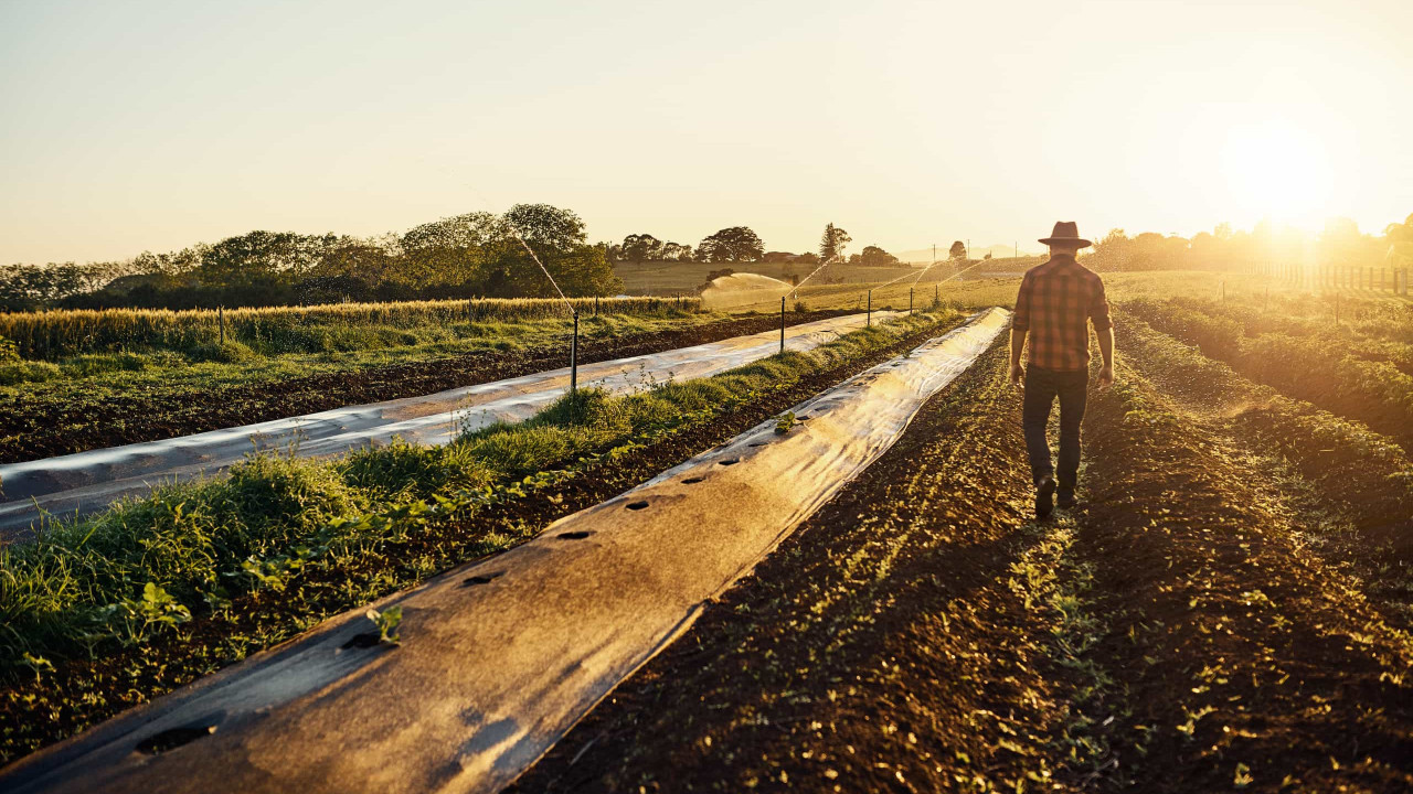 Agricultores gregos cortam estradas para reclamar ajudas fiscais