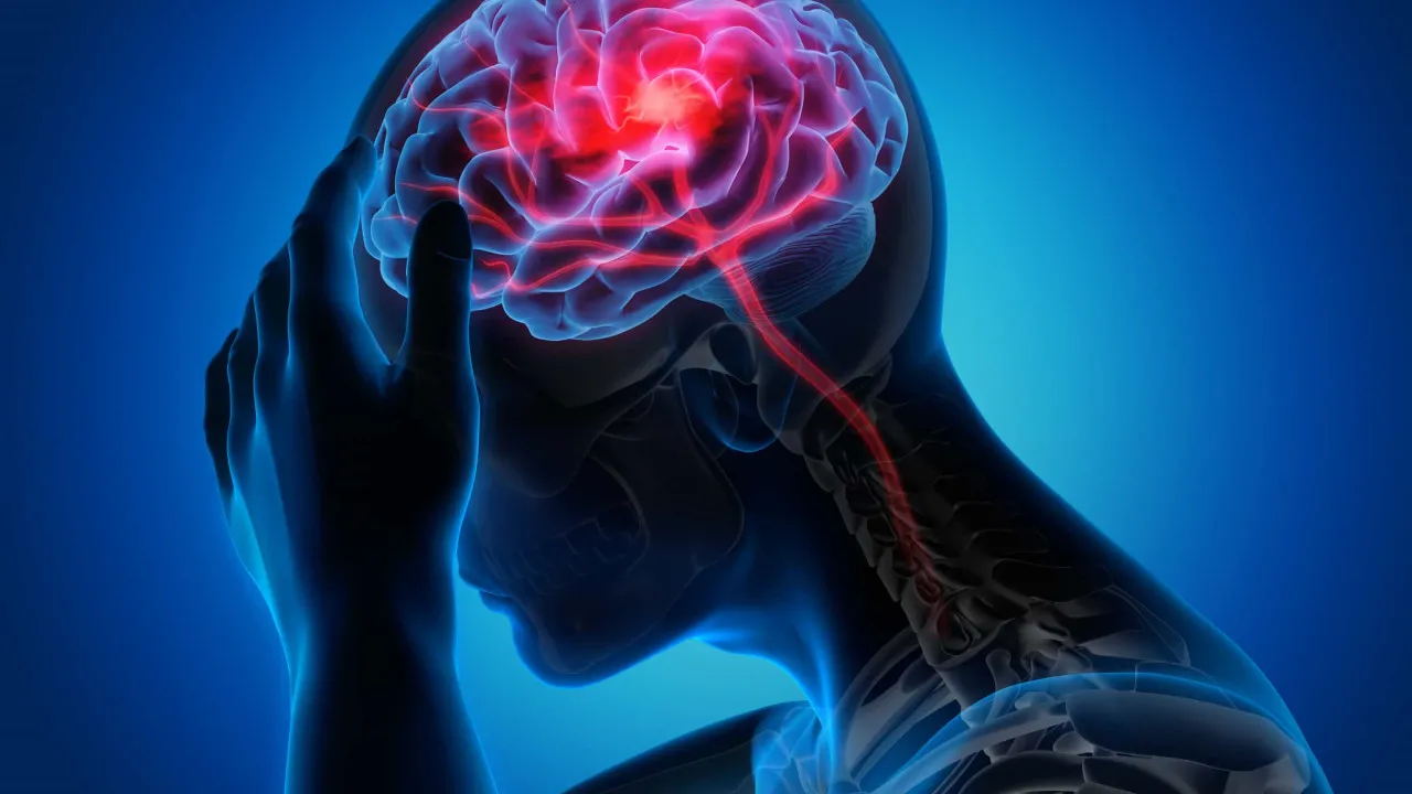 Doenças cerebrais podem vir a ser combatidas com ferramentas biológicas