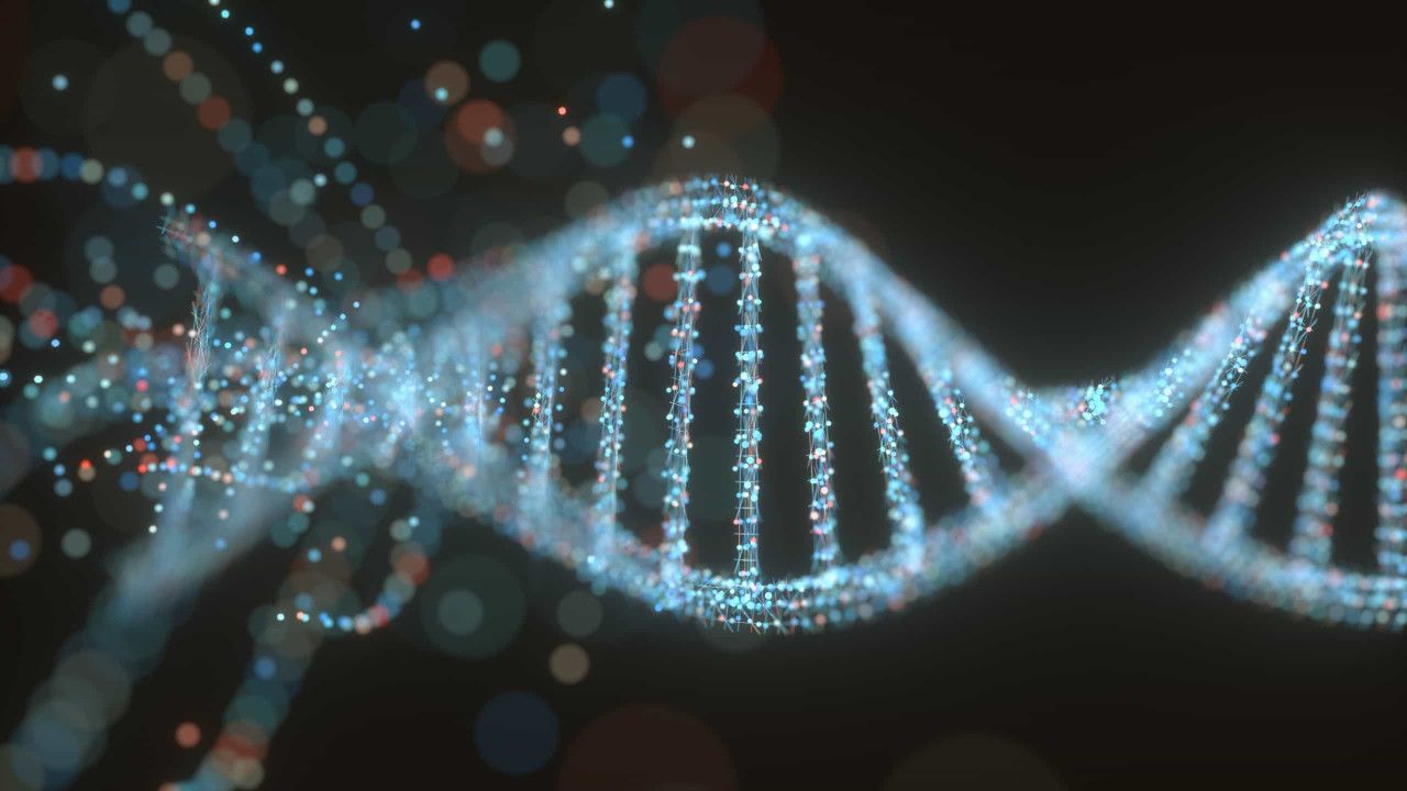 Identificada mutação genética que aumenta o risco de espinha bífida