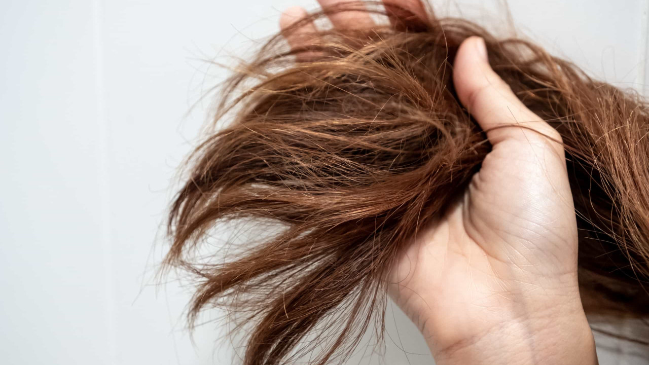 If your hair is damaged, start eating these nine superfoods