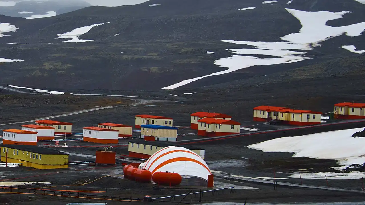 Vegetação na Península Antártica aumentou 10 vezes em 40 anos