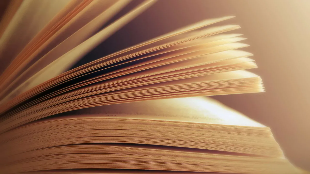 Livrarias portuguesas recebem antologia de poesia ucraniana