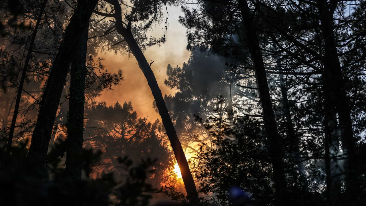 Las altas temperaturas provocan incendios forestales en el sur de Europa