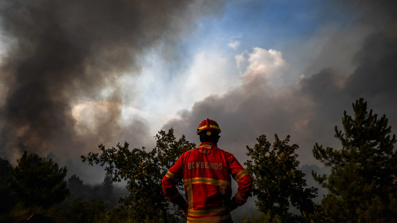 Dispositivo de combate a incêndios entra hoje na capacidade máxima