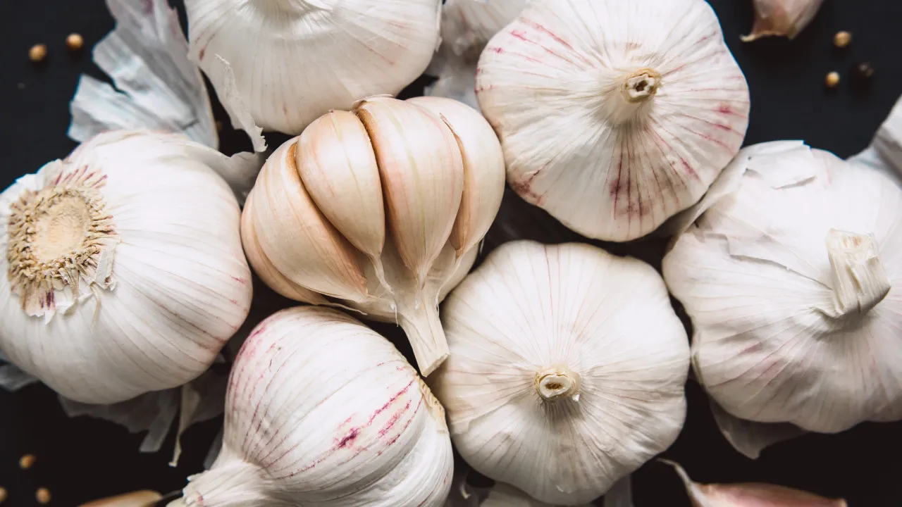 Sim, é possível cultivar alho em casa. Saiba como pode fazê-lo