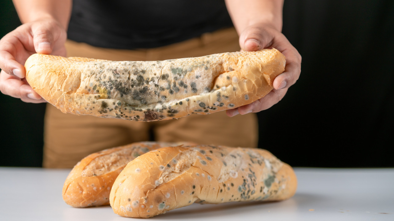 É seguro comer pão com bolor? Médico esclarece (finalmente) a dúvida