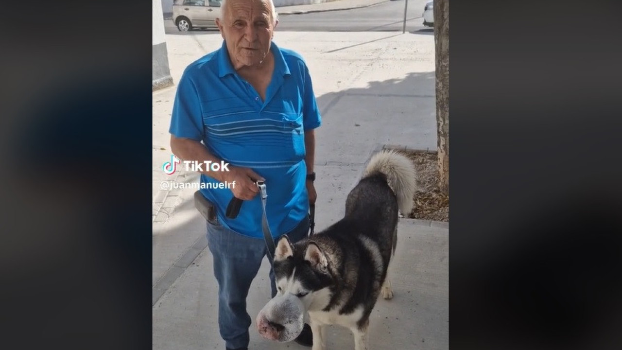 Dueño viajó 900 km para encontrar un veterinario dispuesto a operar el tumor de su perro