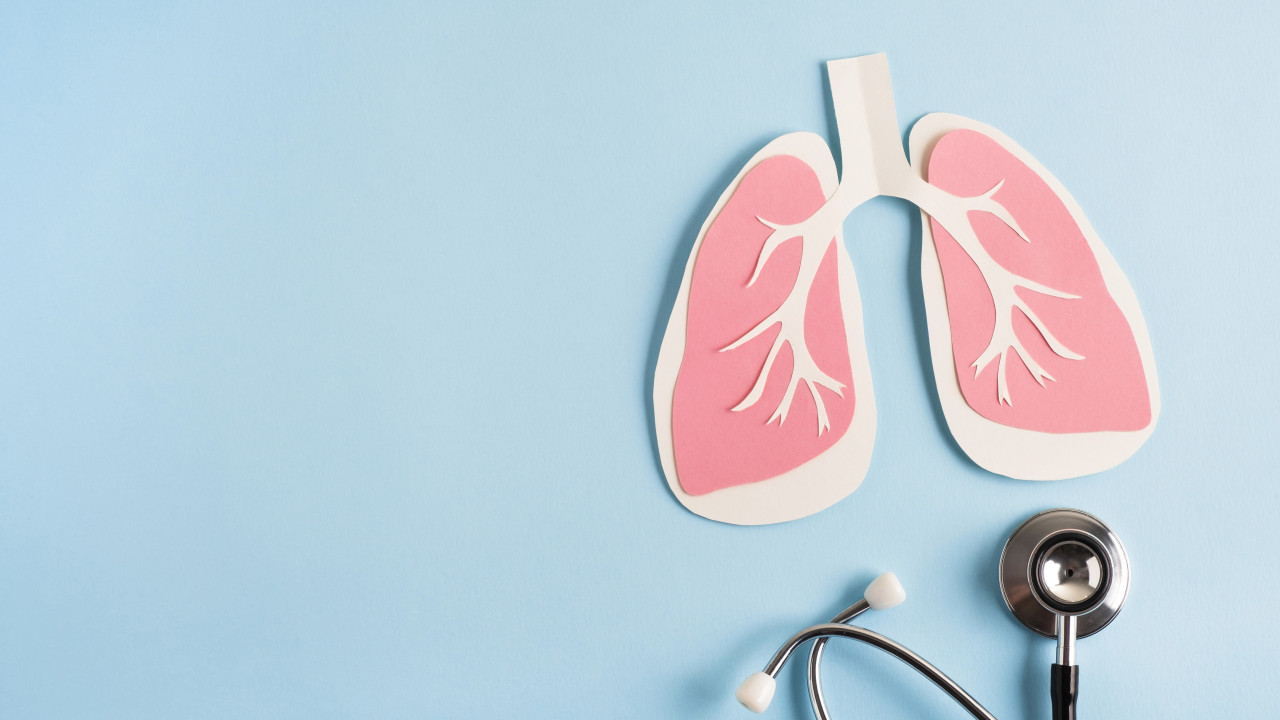 Wenn Sie schon immer eine gesunde Lunge haben wollten, ist dies das Richtige für Sie