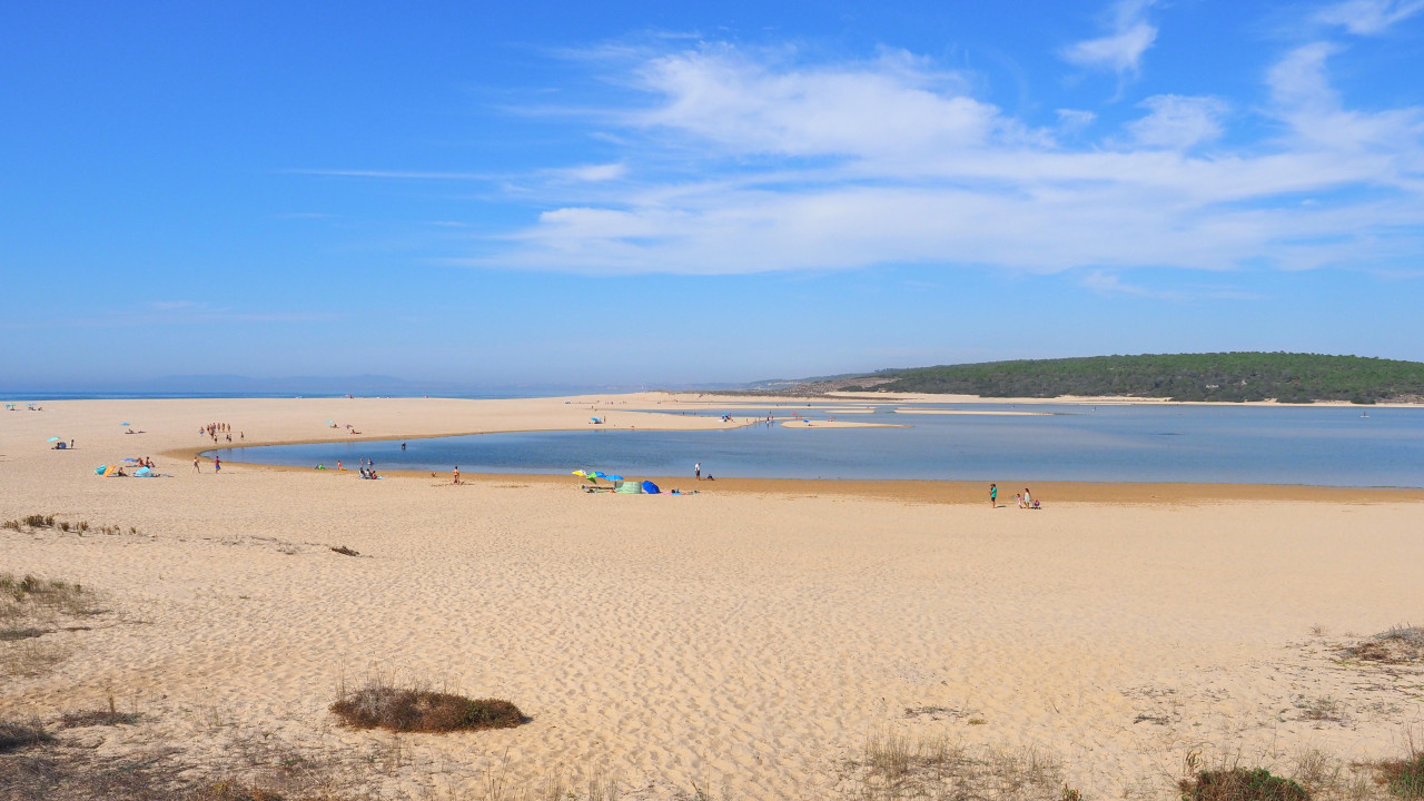 Sesimbra. Pescador de 52 morre após sentir-se mal a duas milhas náuticas