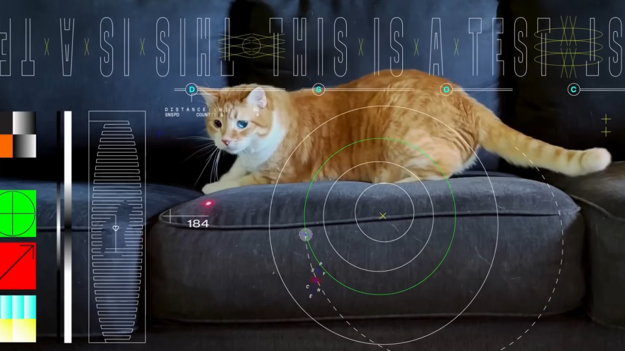 NASA fez história com um vídeo de gato a brincar com laser