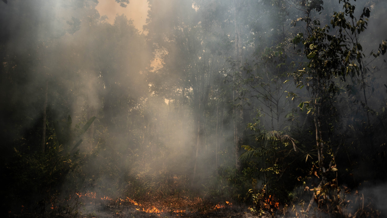 Incêndios na Amazónia caíram 10,8% em 2023 apesar da seca histórica