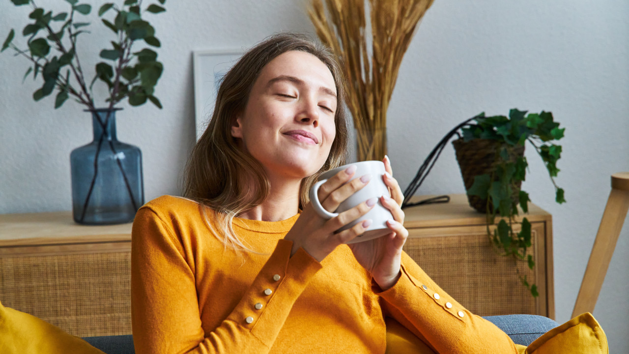 Faça uma chávena desta infusão e relaxe antes de ir para a cama