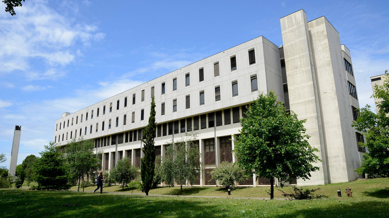 Médio Oriente? Alunos em protesto invadem Faculdade de Ciências da UPorto