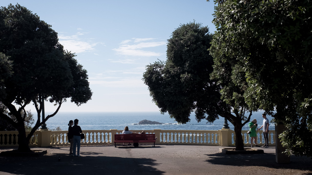 PSD de Matosinhos denuncia existência de ratos nos jardins públicos