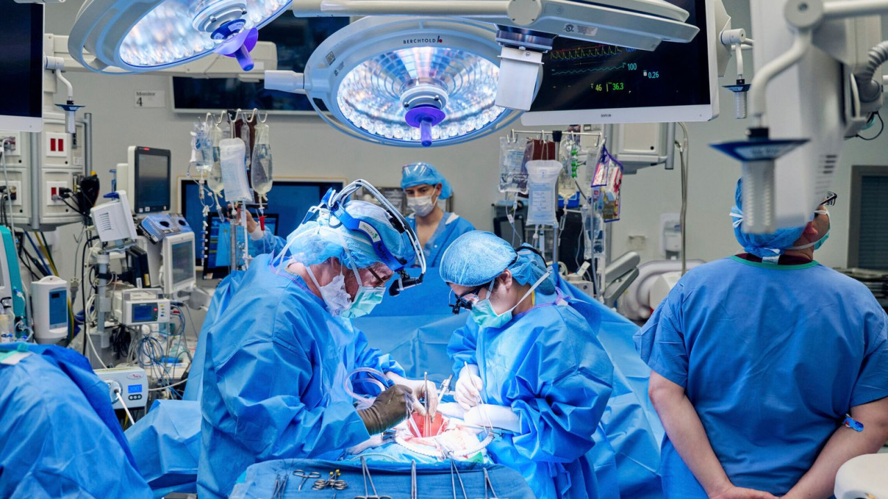 &quot;Transformador&quot;. Mulher faz primeira cirurgia combinada do mundo nos EUA