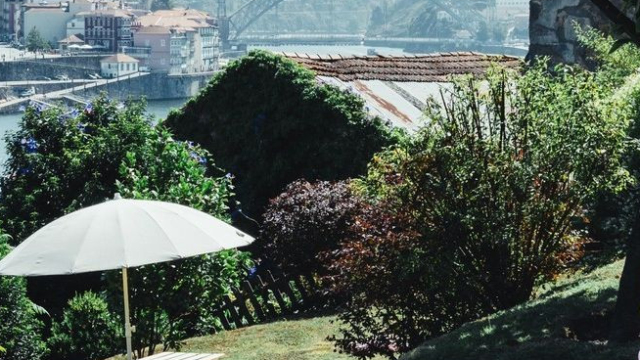 Música, vinhos e comida. Tudo isto num jardim com vista para o Douro
