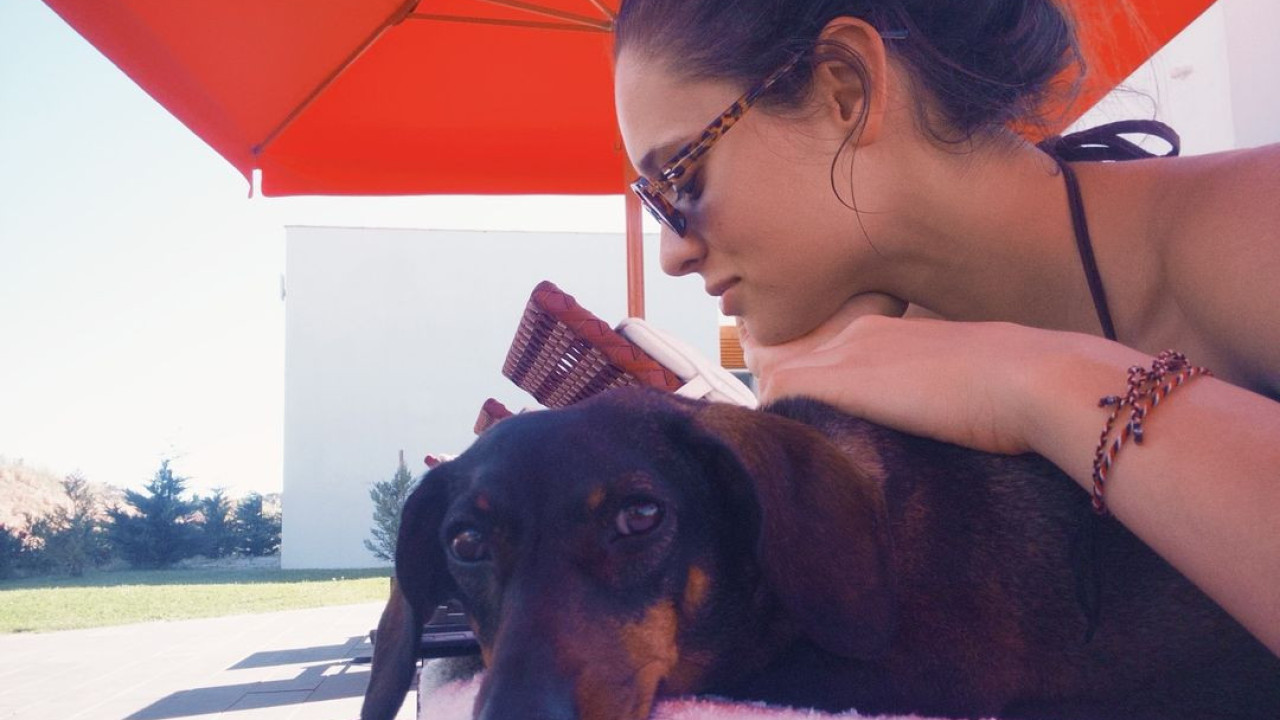 Daniela Melchior partilha fotos com o 'cãopanheiro' e deixa reflexão