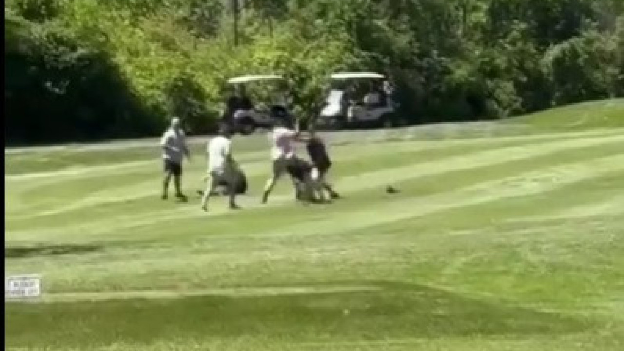 Partida de golfe acaba em sessão de pancadaria entre jogadores