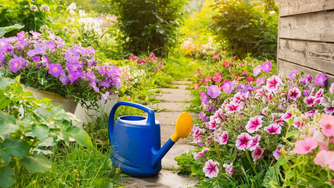 Vier Dinge, die Sie so schnell wie möglich aus Ihrem Garten entfernen sollten