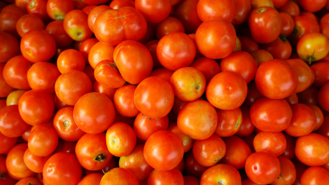 Não há tomates como os nossos! Marca portuguesa em destaque lá fora